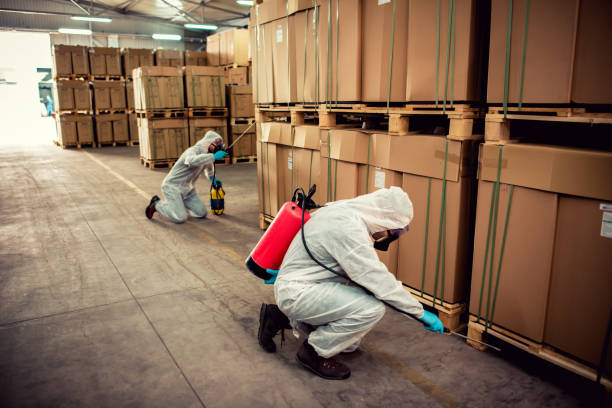 Best Pest Control Near Me  in Tamalpais Homestead Valley, CA