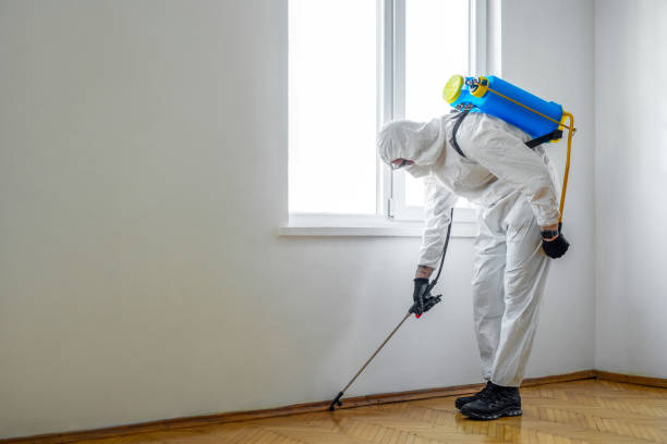 Best Pest Removal Services  in Tamalpais Homestead Valley, CA