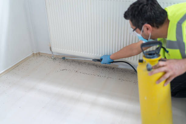 Best Emergency Pest Control  in Tamalpais Homestead Valley, CA